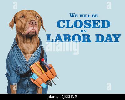 Signboard with the inscription We will be closed on Labor Day. Lovable, pretty puppy and hand tools. Closeup, indoors. Studio photo. Congratulations f Stock Photo