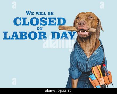 Signboard with the inscription We will be closed on Labor Day. Lovable, pretty puppy and hand tools. Closeup, indoors. Studio photo. Congratulations f Stock Photo