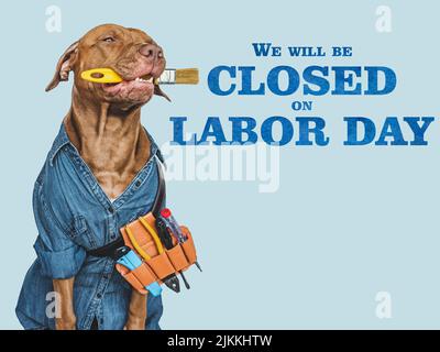 Signboard with the inscription We will be closed on Labor Day. Lovable, pretty puppy and hand tools. Closeup, indoors. Studio photo. Congratulations f Stock Photo
