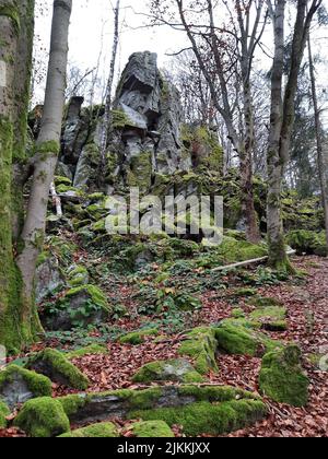 A vertical shot of mossy rocks and trees on Steinwand mountain in Hesse, Germany Stock Photo