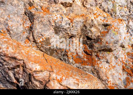 A closeup shot of rock surfaces with orange moss on it Stock Photo