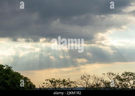 Sunbeams through dramatic storm clouds against the backdrop of trees. Stock Photo
