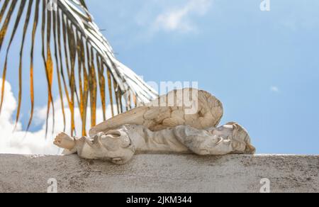 Closeup of baby angel statue sleeping in cemetary with blue cloudy sky and palm frond in background -Key West USA 7 28 2010 Stock Photo