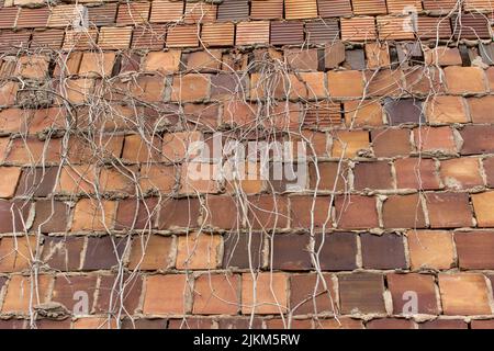 Full frame a texture background of an antique multicolor brown clay tile brick wall texture background with exposed mortar and cracked tiles Stock Photo