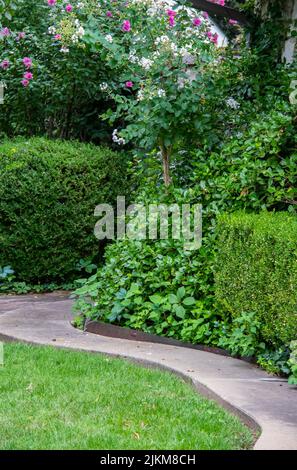 Curving path through hedges and plants and flowering trees Stock Photo