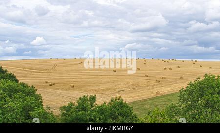 Cornfields on which bales of straw remain after harvest. Wheat was harvested. Food and fodder for livestock. Landscape shot of fields and meadows with Stock Photo