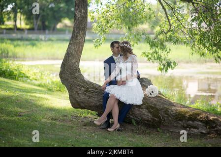 A happy Caucasian newlywed sitting under a tree while looking at each other Stock Photo