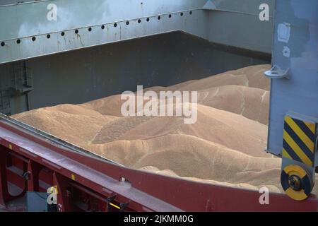 loading corn onto a bulk carrier ship in the port at the grain terminal. Port grain elevator. Industrial sea trading port bulk cargo zone grain termin Stock Photo