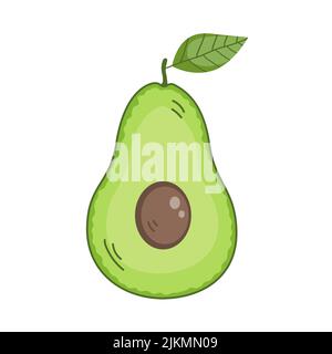 Green ripe avocado fruit with leaf. Sliced half with pulp. Healthy diet food. Culinary ingredient. Cooking food. Flat vector illustration isolated on Stock Vector
