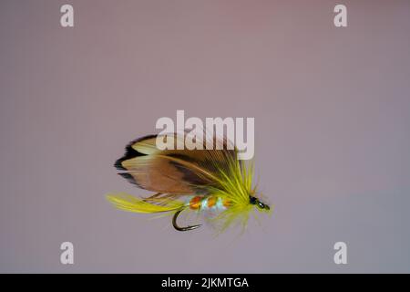 A tied fluffy yellow fishing fly lure isolated on a blue background Stock Photo