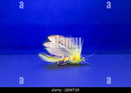 A closeup of a tied fluffy fishing fly lure isolated on a blue