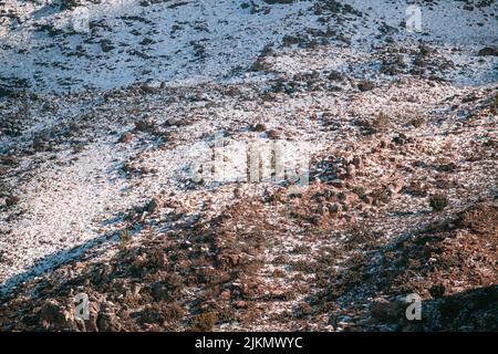 A beautiful landscape view of a snow ground with sunlight in Matroosberg, South Africa Stock Photo
