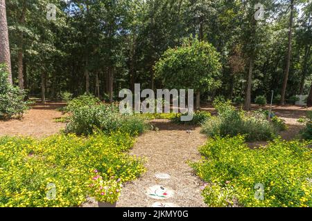 a large backyard of a home with shrubbery and a garden and trees Stock Photo