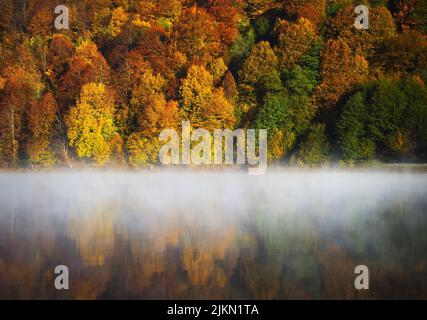 A scenic view of a forest with the colorful trees in autumn on a foggy day reflecting in the water Stock Photo
