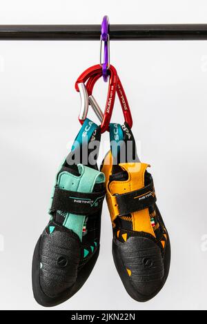 Close-up of climbing shoes (Scarpa Instinct vs) hanging on carabiner against a white background. Colorful climbing equipment from popular company Stock Photo