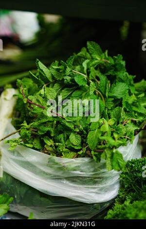 A selective focus shot of peppermint leaves in a plastic bag Stock Photo