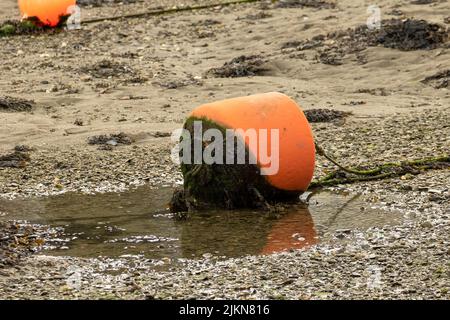 A closeup of an orange mooring buoy left on a muddy riverbed at low tide Stock Photo