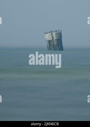 flock of cormorants on a rock in the baltic sea. long time exposure of the turquoise baltic sea Stock Photo