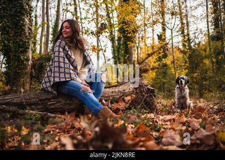Wide shot of a woman sitting on a log with her dog in a forest in autumn. Stock Photo