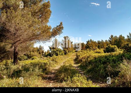 Southern France in Spring Landscape and Coast Stock Photo