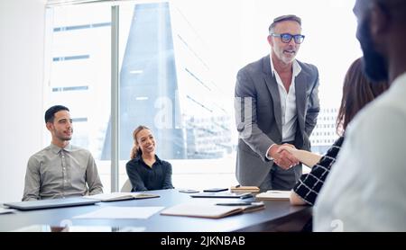 Never bothered to chase your dreams Come work for mine. a mature businessman and a businesswoman shaking hands during a meeting in a modern office. Stock Photo