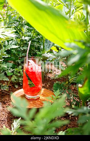 A closeup shot of a glass of refreshing watermelon drink in the garden Stock Photo