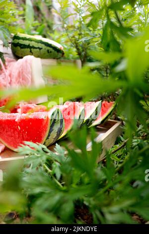 A closeup shot of sliced watermelon on a wooden tray in the garden