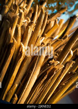 A vertical closeup shot of wood fibre Stock Photo