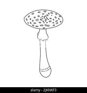 Mushrooms Vector illustration drawn hand, Dangerous mushrooms, toadstool, fly agaric, white toadstool, family of mushrooms isolated white background Stock Vector