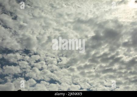 Cirrus clouds in sky. Celestial landscape. View of light cloudiness. Stock Photo