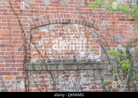 An abandoned brick warehouse with plants in Dayton, Ohio Stock Photo