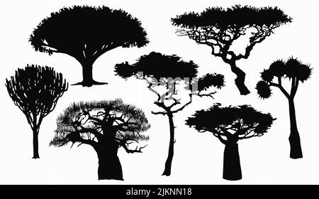 Collection with flat silhouettes of African trees. Stock Vector