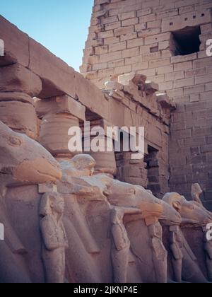 A vertical shot of the columns with carvings and sculptures of horses in Karnak temple in Luxor, Egypt Stock Photo