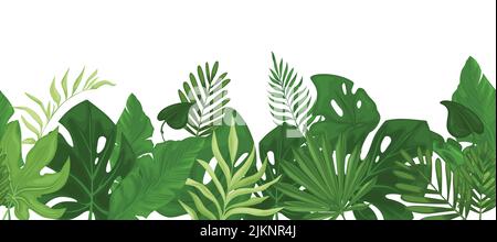 Tropical seamless border with palm leaves.  Stock Vector