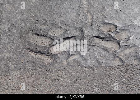 A closeup shot of a cracked gray floor Stock Photo