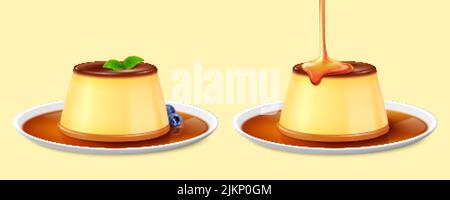 Two custard puddings on plates isolated on yellow background. One with topped mint leaves and served with blueberries, and the other drizzled with car Stock Vector