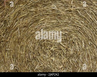 Big hay bale roll in a green field Stock Photo - Alamy