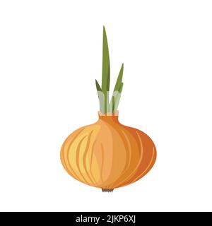 Bitter golden onion isolated on white background. Summer farm design elements. Natural fresh bright bunch of onion. Template vector illustration for Stock Vector