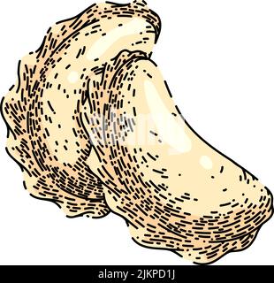 dumpling sketch hand drawn vector Stock Vector
