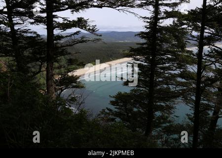 A view of scenic bay behind tall pine trees Stock Photo