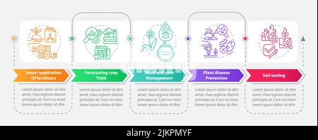 Increased crop yield rectangle infographic template Stock Vector