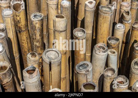 Bamboo wall to protect the planting of mangrove trees, close up Stock Photo