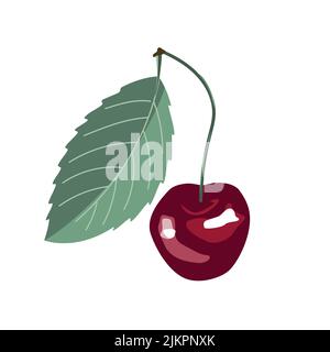 Fresh cartoon red cherry isolated on white background. Icon or logo emblem design. Vector illustration for any design Stock Vector