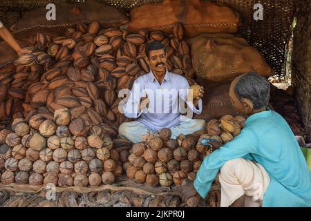 Kolhapur, India- March 16th 2019; Stock photo of 30 to 40 year old Indian villager statue wearing traditional cloths and selling peeled coconut to cus Stock Photo