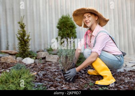 A young woman is planting a lavender bush in the soil. Gardening concept - florist plants flowers in summer garden. Stock Photo