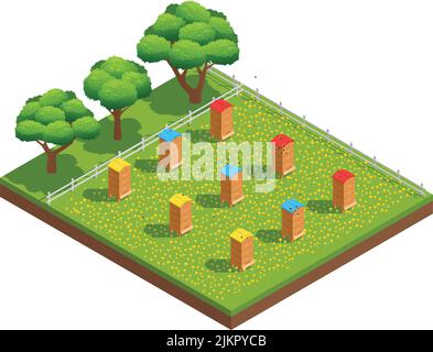 Beekeeping apiary with wooden hives on grass with flowers near trees isometric composition vector illustration Stock Vector
