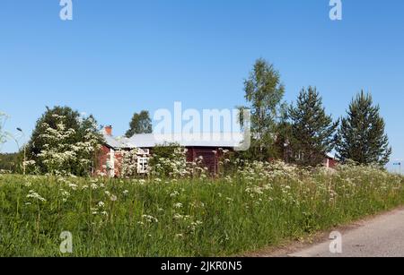 Flowers, plants this side an old wooden buildings in a village. Log, timber buildings in the countryside in bright sunshine. Stock Photo