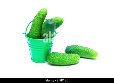 Small green bucket with freshly picked cucumbers isolated on white background. Stock Photo