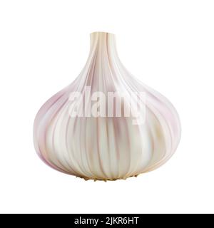 realistic garlic vector illustration Stock Vector