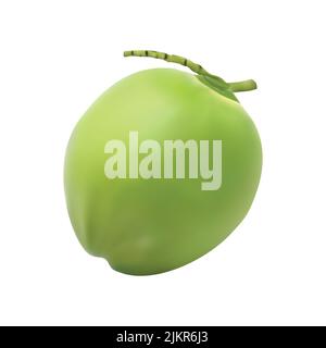 3d realistic coconut vector illustration Stock Vector